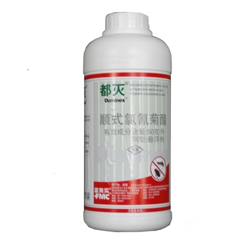 太原白蚁防治除虫尽